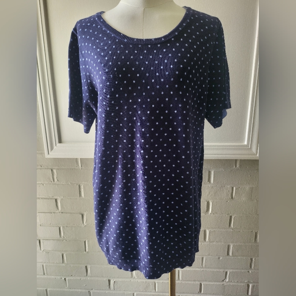 Navy With Light Blue Polka Dot Women's Short Sleeve Sweater Like Top